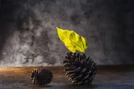 房客（小小说）图片