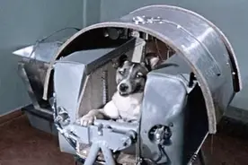 苏联曾将一只小狗送进太空，63年过去了，现在仍在地球轨道流浪图片