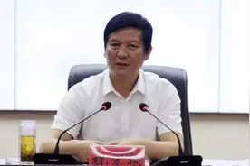 副省长、市委书记、副市长……接二连三投案图片