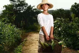 清华女博士后，不顾父母反对当农民，如今年入800万逆袭图片