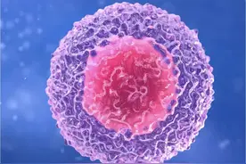 试管成功率的“保质保量”图片