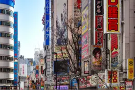 东京歌舞伎町为何吸引众多中国游客？原来是因为异国文化魅力太大图片