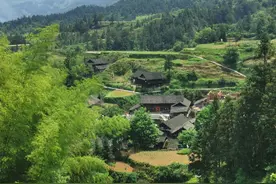 穿岩山上又一景丨古村、古树、古宗祠，千年、千人、千丘田图片