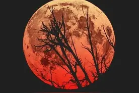 几本创意十足的精品小说，每本剧情都高能不断，让人越看越入迷图片