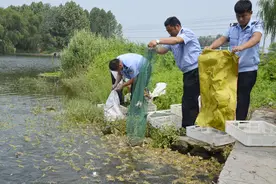 野生蛙为啥越来越少见？一次被抓几十斤，农村捉蛙为何风气盛行？图片