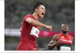 我看《人民日报》对苏神的评论图片