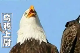 国际新闻or笑话合集？2020，这些国家在认真搞笑图片