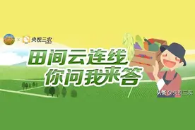 “吃瓜群众”别白当，这些瓜吃明白了吗？图片