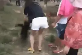 昆明人怒了！围追堵截、抓扯尾羽、死死按住……游客合影留念，孔雀难逃魔爪，惨叫连连图片