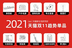 滑雪板、户外电源、宠物玩具……你的双11购物车里有这10件单品吗？图片