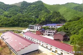 连马云都最爱吃那香甜可口的茴丝饭，甜里却带着很难感受到的辛酸图片