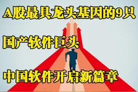 A股最具龙头基因的9只“国产软件”，中国软件开启新篇章图片