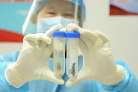 涉嫌违规入境！广州海关查获一批“巨人恐蚁”，跟成人大拇指一样大，可致人化学灼伤图片