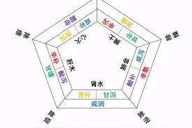 汤液经法图系列(4)：体、用是什么意思？与补、泻是什么关系？图片