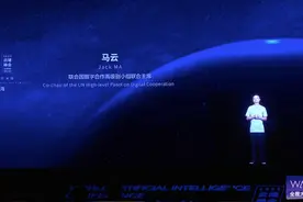 马云：为活下去而做的创新才是最强大的动力图片