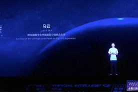 马云：为活下去而做的创新才是最强大的动力图片