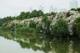 免费、降价！7月起，浦东这些景点有福利，快去打卡吧→图片