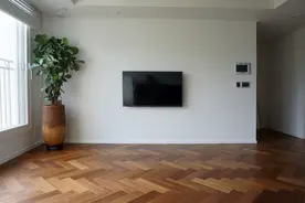 坚持断舍离，3个月扔掉一半家具，100㎡的家每天保持干干净净图片