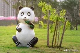 准备好了吗！400只超萌熊猫军团来袭图片