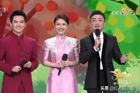 春晚口误、315晚会嘴瓢，龙洋关键时刻掉链子，主持能力受质疑图片