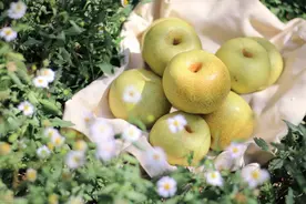 你遇见的事，都是来渡你的图片