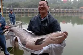 近日黑龙江渔民捕获巨型鱼，盘点一下全球范围曾经捕获的惊天巨鱼图片