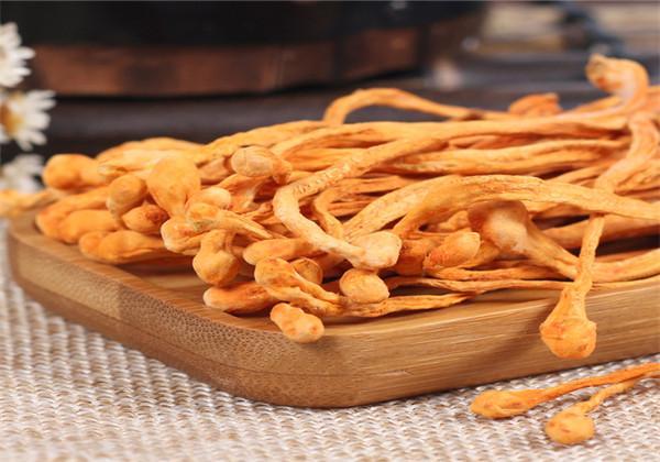 浜哄伐铔硅櫕鑽夋牻鍩规妧鏈紝鑳芥彁鍗囪浌铏崏浜ч噺锛岃繕鑳戒繚鎸佸叾钀ュ吇