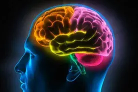 人脑相当于多大的内存？科学研究发现，人脑记忆存储潜力巨大图片