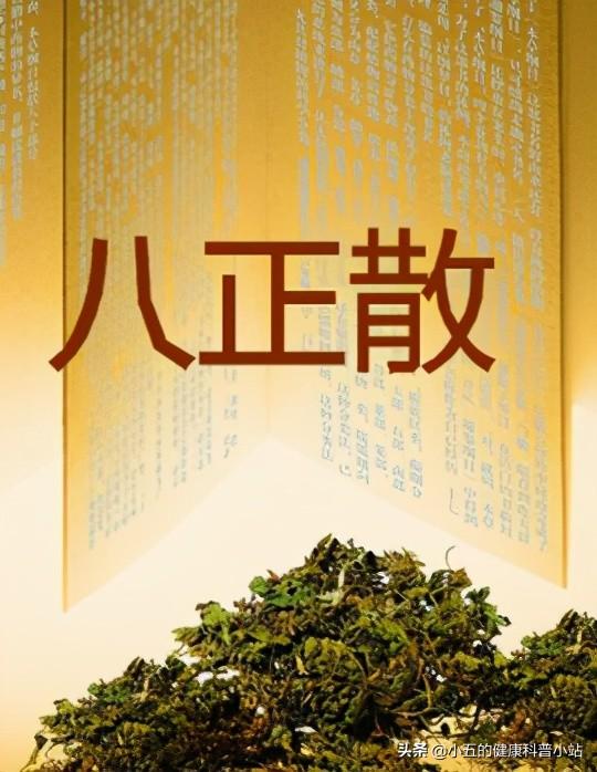 灵花泌灵胶 2026年灵花泌尿灵片