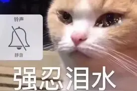 让你不花一分钱就能和银行协商成功个性化分期的方法图片