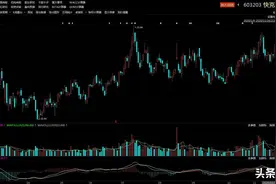 快克股份：拿到苹果AirPods订单 国内隐形冠军图片