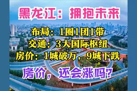 黑龙江2035：1个都市圈，3座国际枢纽，5个大城市，9城房价在下跌图片