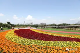 这里是日照|航拍阳光海岸绿道，每一帧都美出了天际！图片