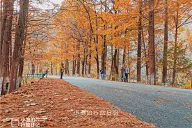 陕西秦岭这条自驾线路，堪称最美赏秋地！老司机凑时间也该走一次图片