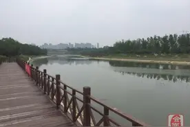 贾鲁河公园八月开园图片