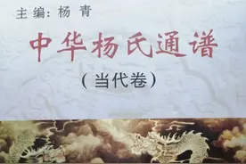 《中华杨氏通谱》简介图片