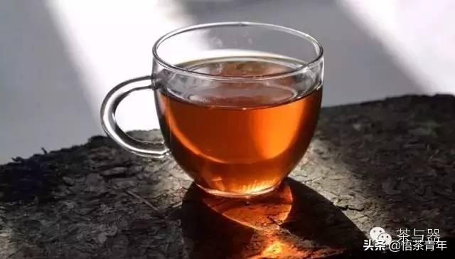 安化黑茶茯砖与其他茶叶有何不同