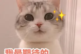 明确了！苏州湾音乐喷泉下周开放！附近可免费停车图片