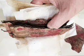 7万多元埋地下，发霉成了“纸疙瘩”图片