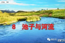 部编版三年级下册语文《8.池子与河流》学习课件图片