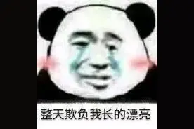 表情包 | 整天欺负我长得漂亮图片