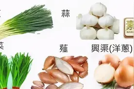 荤到底是什么图片