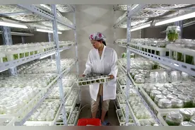 农村不愁销路的小型加工厂项目，总有一个适合你，看完赶紧收藏图片