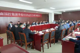 河南国控集团召开经济运行分析会图片