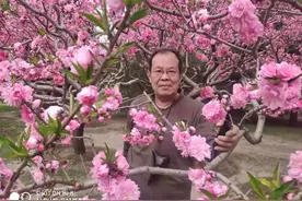 北京市肢残人协会线上诗歌诵读会作品鉴赏（一、下）图片