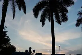 没有爱的两个人如何度过一生图片