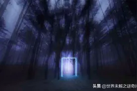 为何霍亚森林没人敢进？女孩无意闯入消失5年，称里面有时空之门图片