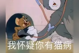 猫和老鼠表情包又更新了！！搞笑可爱图片