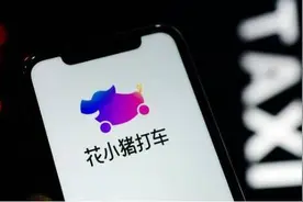 花小猪被扼住喉咙，滴滴版“拼多多”要翻车？图片