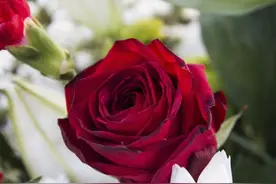 有你在心里，已经足够了图片